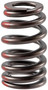 Engine Valve Spring VS-2254 - front view