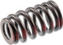 Engine Valve Spring VS-2254 - angled view