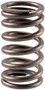 Engine Valve Spring VS-1457 - front view