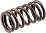 Engine Valve Spring VS-1457 - angled view