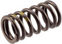 Engine Valve Spring VS-1457