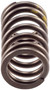 Engine Valve Spring VS-1457 - top view