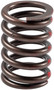 Engine Valve Spring VS-150 - side view