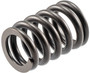 Engine Valve Spring VS-2259 - angled view