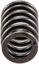 Engine Valve Spring VS-2259 - bottom view