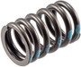 Engine Valve Spring VS-820 - angled view