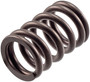 Engine Valve Spring VS-390 - angled view