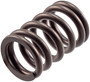 Engine Valve Spring VS-390