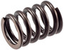 Engine Valve Spring VS-830