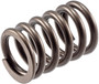 Engine Valve Spring VS-840 - angled view