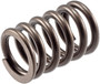 Engine Valve Spring VS-840