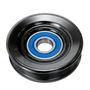 Accessory Drive Belt Idler Pulley SK89051 - front view