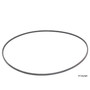 Serpentine Belt 2PJ800 - front view