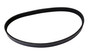 Serpentine Belt 4050435 - angled view