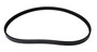 Serpentine Belt 4040355 - angled view