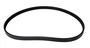 Serpentine Belt 4040319 - angled view