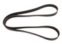 Serpentine Belt 4080805 - angled view