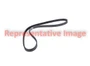 Serpentine Belt 880K4MK - product image
