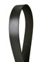 Serpentine Belt 8PK2585 - front view