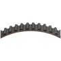 Dayco Engine Timing Belt 95246 - front view