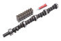 Edelbrock Performer Plus Cam/Lifters for AMC 290-401