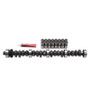Edelbrock Perf Plus Cam and Lifters Kit Ford 351W