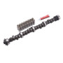 Edelbrock Performer Plus Cam/Lifters for Olds 400-455