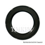 Engine Crankshaft Seal SL260028 - alternate view