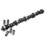 Edelbrock Performer RPM Cam/Lifters for Ford 351W