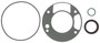 Engine Crankshaft Seal Kit JV5219 - kit contents