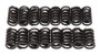 Edelbrock Valve Springs for E-Street Heads (Set of 16)