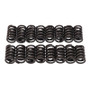 Edelbrock Valve Springs for E-Street Heads (Set of 16)