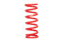 Eibach ERS Coil-Over Spring 300mm 50 N/mm (Single) | 300-60-0050