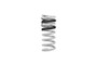 Drag-Launch Springs for Ford Mustang GT S550 (Set of 4) | E32-35-029-01-22