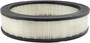 Baldwin Air Filter PA2051 - front view