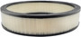 Baldwin Air Filter PA2002 - front view