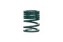 Eibach ERS Progressive Tender Spring 2.50in (Single) | 0200.250.250-550