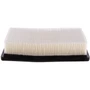 Premium Guard Air Filter PA3590 - side view