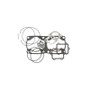 Cometic Primary Gasket for Harley-Davidson Milwaukee 8 .032in | C10241F1