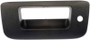 Dorman Exterior Tailgate Handle Bezel 80122 - front view