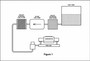 110 GPH "Blue" Electric Pump Without Regulator 12-812-1 - diagram