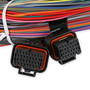 Unterminated Universal Main Harness 558-105 - back view