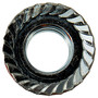 Dorman Serrated Flange Hex Nut-JIS-Class 10.9-Thread Size- M10-1.25mm 878-710 - back view