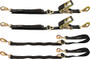 Allstar Performance 10209 | Race Car Tie Down Kit