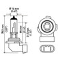 Optilux Multi-Purpose Light Bulb H71071252 - diagram
