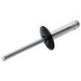 Allstar Performance 18063 | Lg Hd Rivet 250Pk Black Flange Type Alum Mandrel