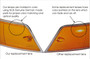 Tail Light Lens 91163192303 - side view