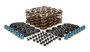 PAC Racing Springs Valve Spring Kit for GM LS | PAC-KS12