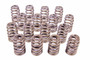 PAC Racing Springs 1.290 Valve Springs for GM LS | PAC-1215-16