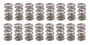 PAC Racing Springs 1.300 Dual Valve Springs Drag Race | PAC-1334-16